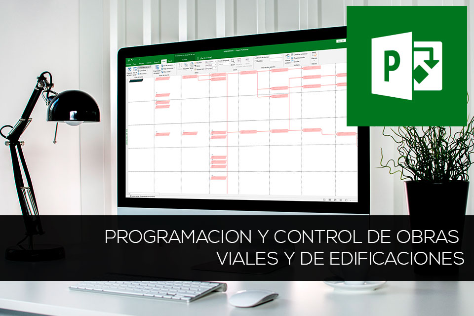 Programacion y Control de Obras Viales y de Edificaciones con MS- Project y Excel