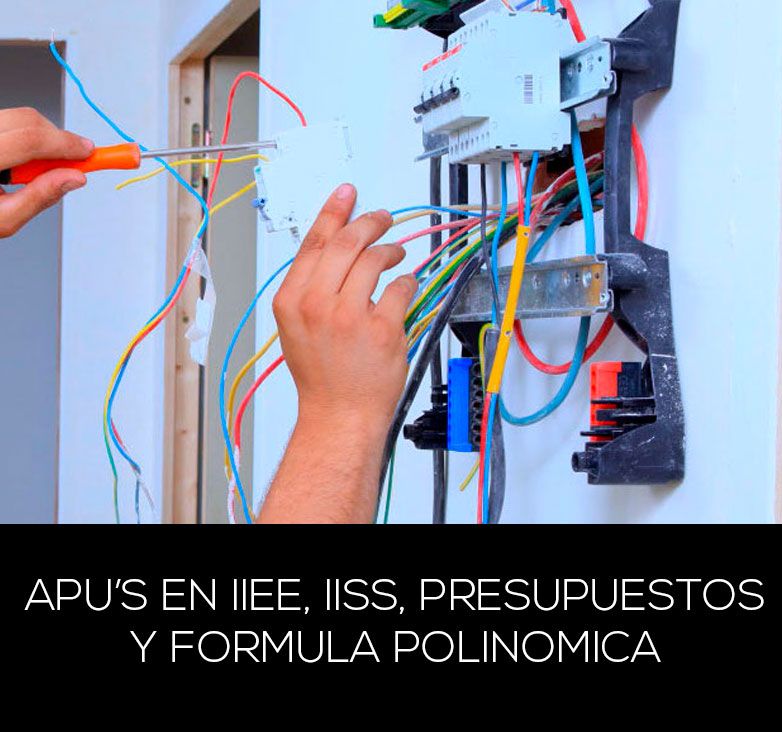 APU'S en Arquitectura, Instalaciones eléctricas y sanitarias, Elaboración del presupuesto y Formulas Polinómicas con s10